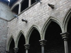 Inside Picasso museum