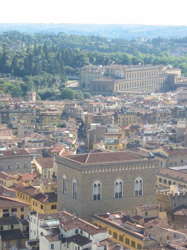 View of Palazzo Pitti and Boboli gardens